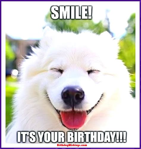 funny birthday memes